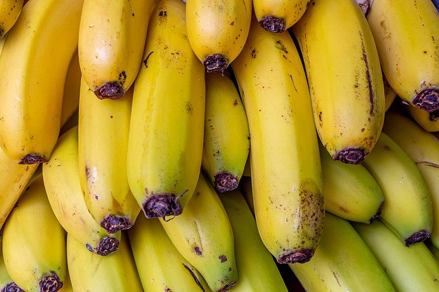 Bananas Banana Tree Fruit Cute  - analogicus / Pixabay