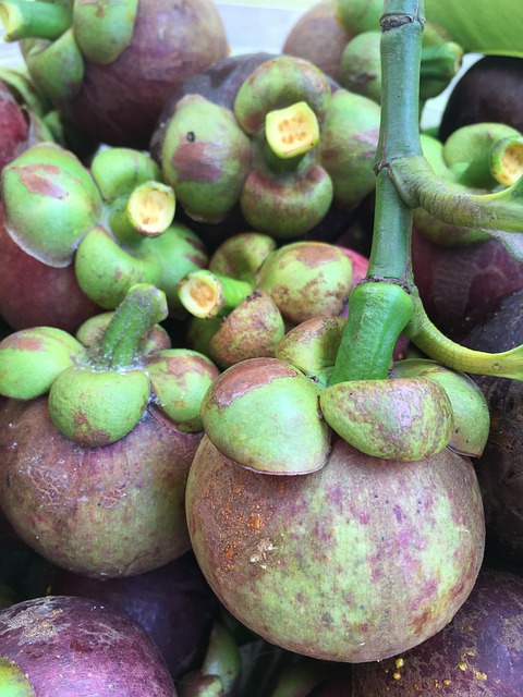 Fruit Mangosteen Food Exotic  - kimloannguyeningrass / Pixabay